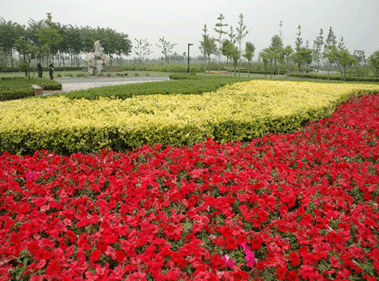 长河公园