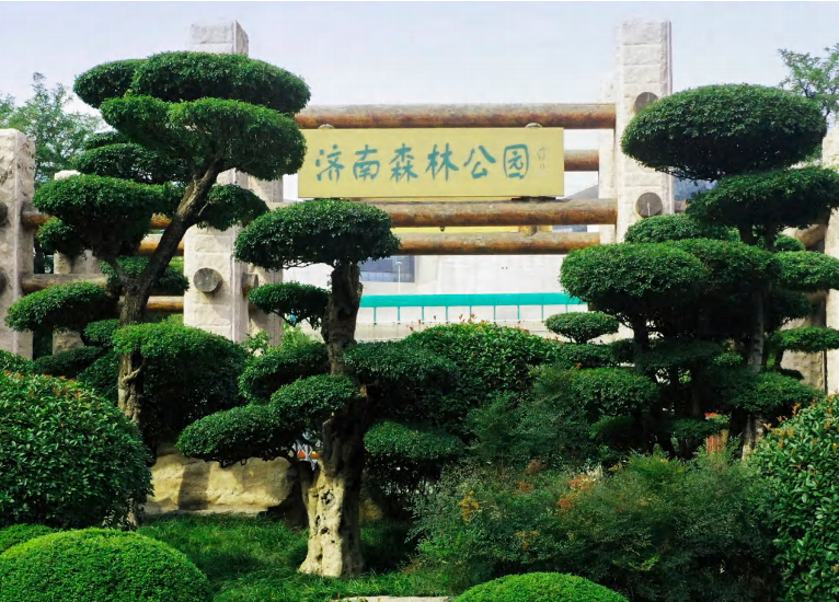 济南森林公园