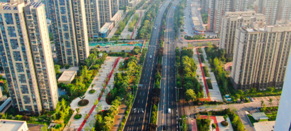 奥体中路
