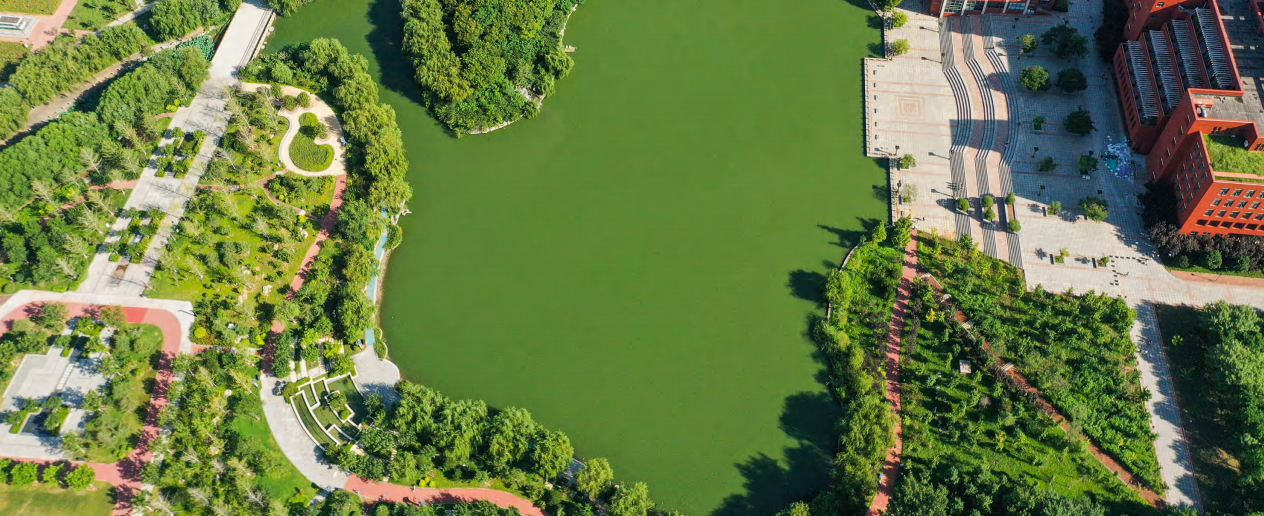 山东交通学院