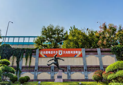山东鲁能泰山足球俱乐部